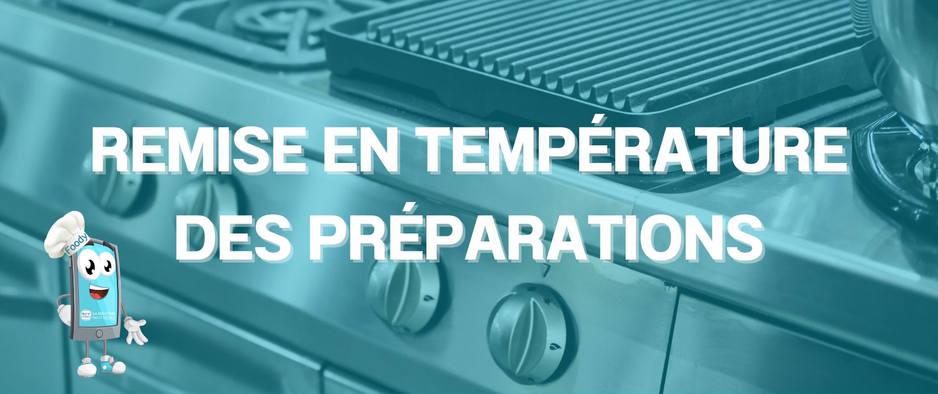 Régulateur De Température Céramique 220V Pour Friteuse - Sécurité Surchauffe - Cuisson Précise