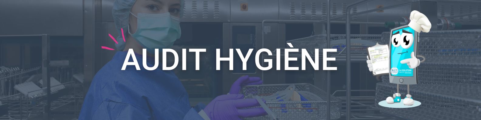 Audit Hygiène haccp