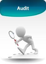 icone audit