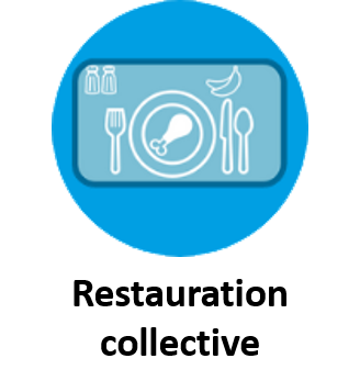restauration collective