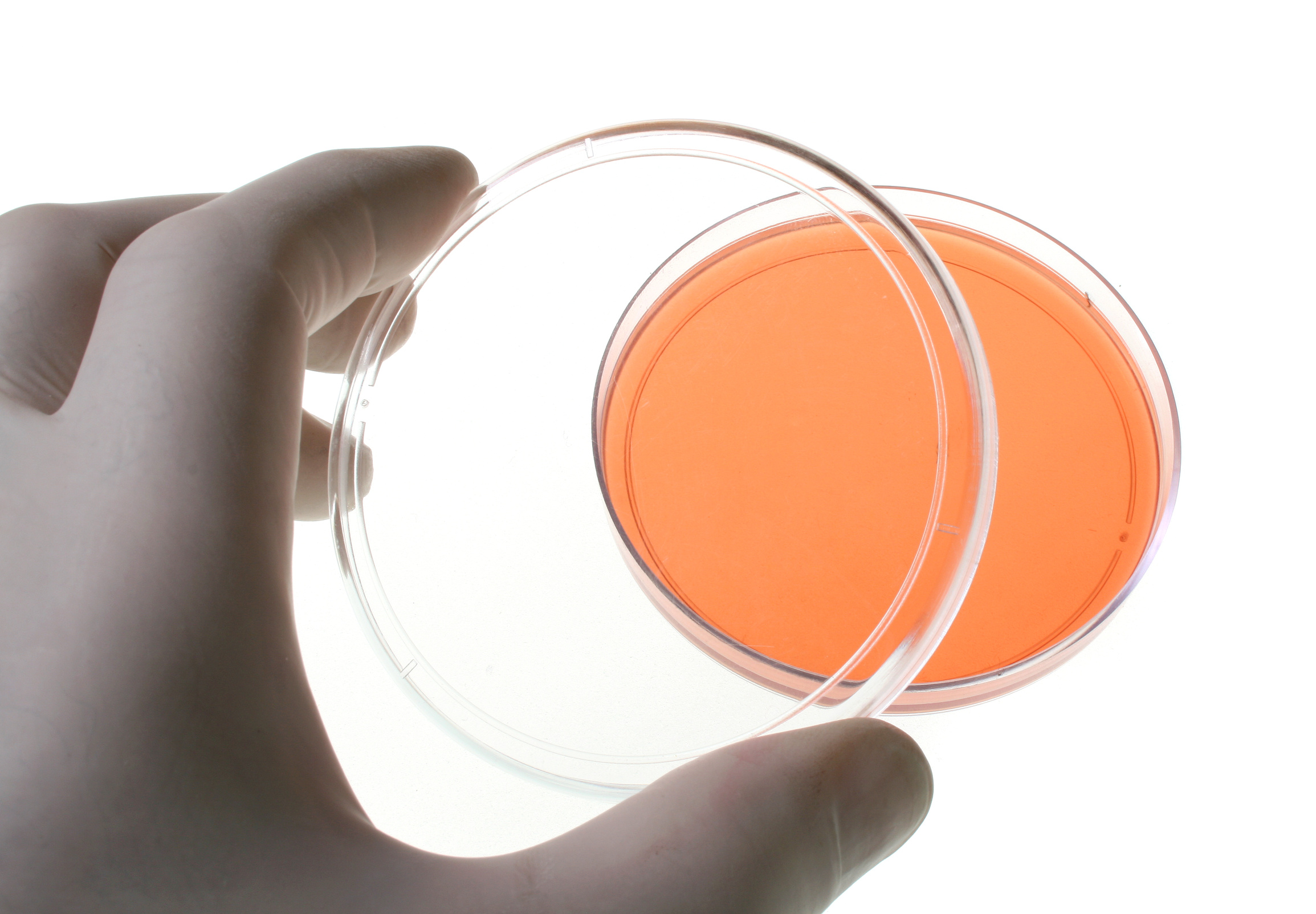 analyses agroalimentaires