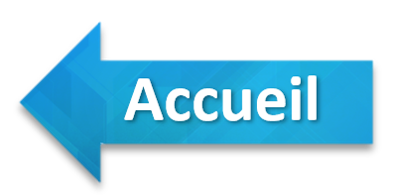 bouton accueil