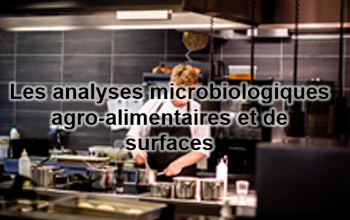 Les analyses microbiologiques agro-alimentaires et de surfaces